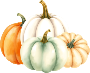 A charming array of colorful pumpkins, an Autumn harvest season PNG illustration for festive designs.