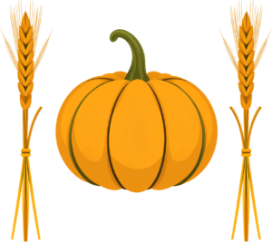 Elevate projects with a stylized orange pumpkin flanked by two wheat bundles, a simple Autumn PNG illustration.