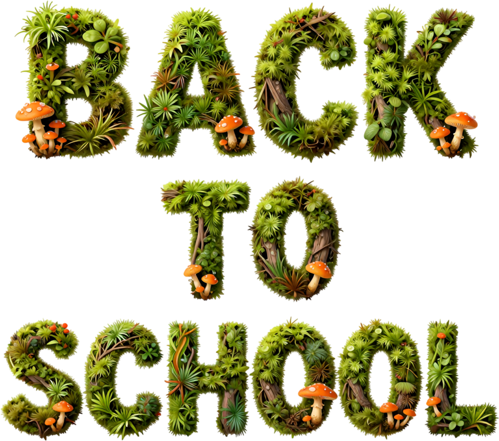 - Enchanting mossy Back to School letters, featuring mushrooms, a captivating nature-inspired illustration clipart PNG Free PNG Download
