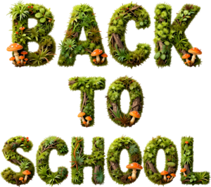 Enchanting mossy Back to School letters, featuring mushrooms, a captivating nature-inspired illustration clipart PNG