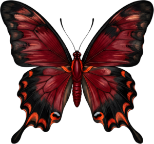 - Striking Monarch Butterfly in dorsal view, a premium PNG for diverse clipart applications, educational content, and artistic compositions Free PNG Download