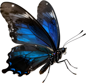 - Striking Monarch Butterfly in dorsal view, a premium PNG for diverse clipart applications, educational content, and artistic compositions Free PNG Download