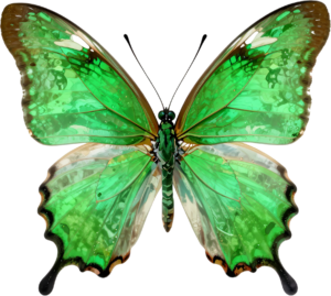 - Deep Blue Butterfly in flight profile, a captivating PNG for ethereal clipart, fantasy designs, and enchanting digital compositions Free PNG Download