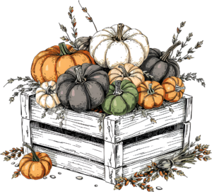 Utilize this unique Harvest Crate Illustration filled with diverse pumpkins and autumnal elements for your next seasonal PNG design