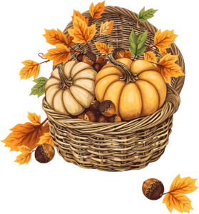 Behold a rustic Fall Pumpkin Basket Illustration, a delightful PNG brimming with golden pumpkins and surrounded by rich autumn leaves