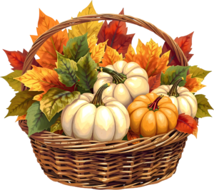 Embrace the autumnal spirit with this inviting Pumpkin Basket PNG Illustration, showcasing two pumpkins and a scattering of acorns for charm