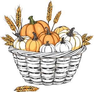 Admire this elegant Harvest Pumpkin Basket Illustration, a sophisticated PNG filled with orange and white pumpkins, adorned with autumn leaves