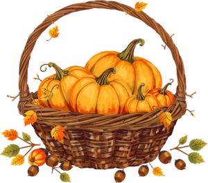Obtain this classic Fall Pumpkin Basket PNG, brimming with various gourds and intertwined with charming autumn branches and acorns for decor