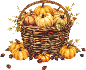Curate charming autumn visuals with this bountiful Pumpkin Basket PNG Illustration, showcasing golden pumpkins and scattered acorns for design