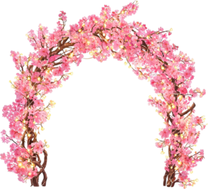 Whimsical Cherry Blossom Arch with Lights Illustration, PNG for Fairytale