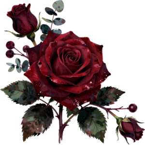 Pink Rose Wreath Flower illustration, perfect PNG for wedding invitations and scrapbooking designs 51 - Pink Rose Wreath Flower illustration, perfect PNG for wedding invitations and scrapbooking designs Free PNG Download
