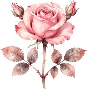 Pink Rose Wreath Flower illustration, perfect PNG for wedding invitations and scrapbooking designs 58 - Pink Rose Wreath Flower illustration, perfect PNG for wedding invitations and scrapbooking designs Free PNG Download