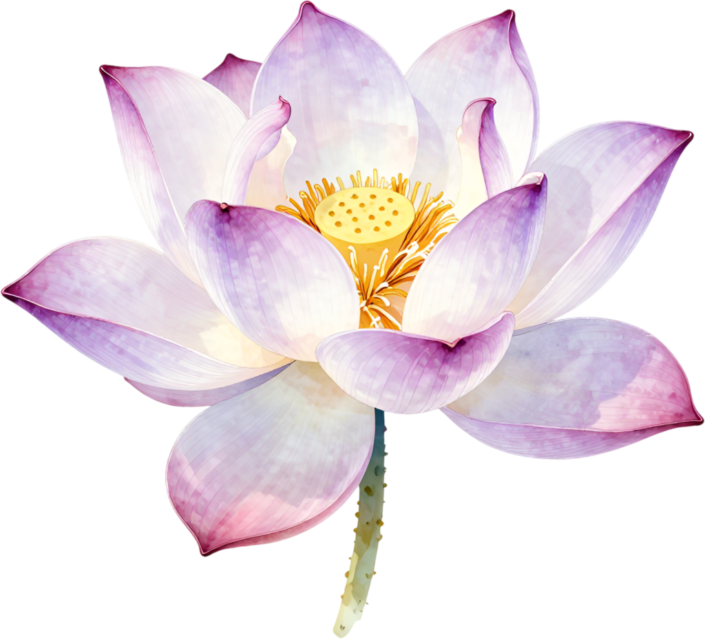 Serene Lotus Flower bloom symbolic watercolor Clipart perfect for tranquil spiritual PNG designs 1 - Serene Lotus Flower bloom symbolic watercolor Clipart perfect for tranquil spiritual PNG designs Free PNG Download