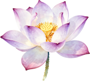 Peony and pink rose with eucalyptus and berries, a beautiful Flower PNG Clipart corner graphic 60 - Peony and pink rose with eucalyptus and berries, a beautiful Flower PNG Clipart corner graphic Free PNG Download