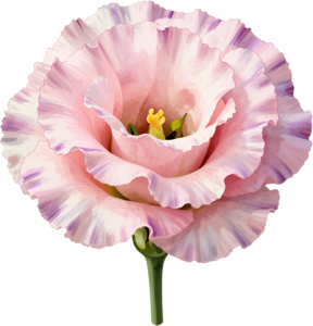 Pink Rose Wreath Flower illustration, perfect PNG for wedding invitations and scrapbooking designs 61 - Pink Rose Wreath Flower illustration, perfect PNG for wedding invitations and scrapbooking designs Free PNG Download