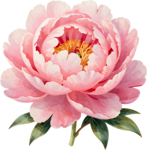 - Unique Hellebore bloom mysterious winter Flower Clipart perfect for enchanting digital PNG projects Free PNG Download