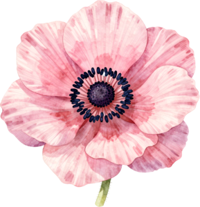 - Unique Hellebore bloom mysterious winter Flower Clipart perfect for enchanting digital PNG projects Free PNG Download