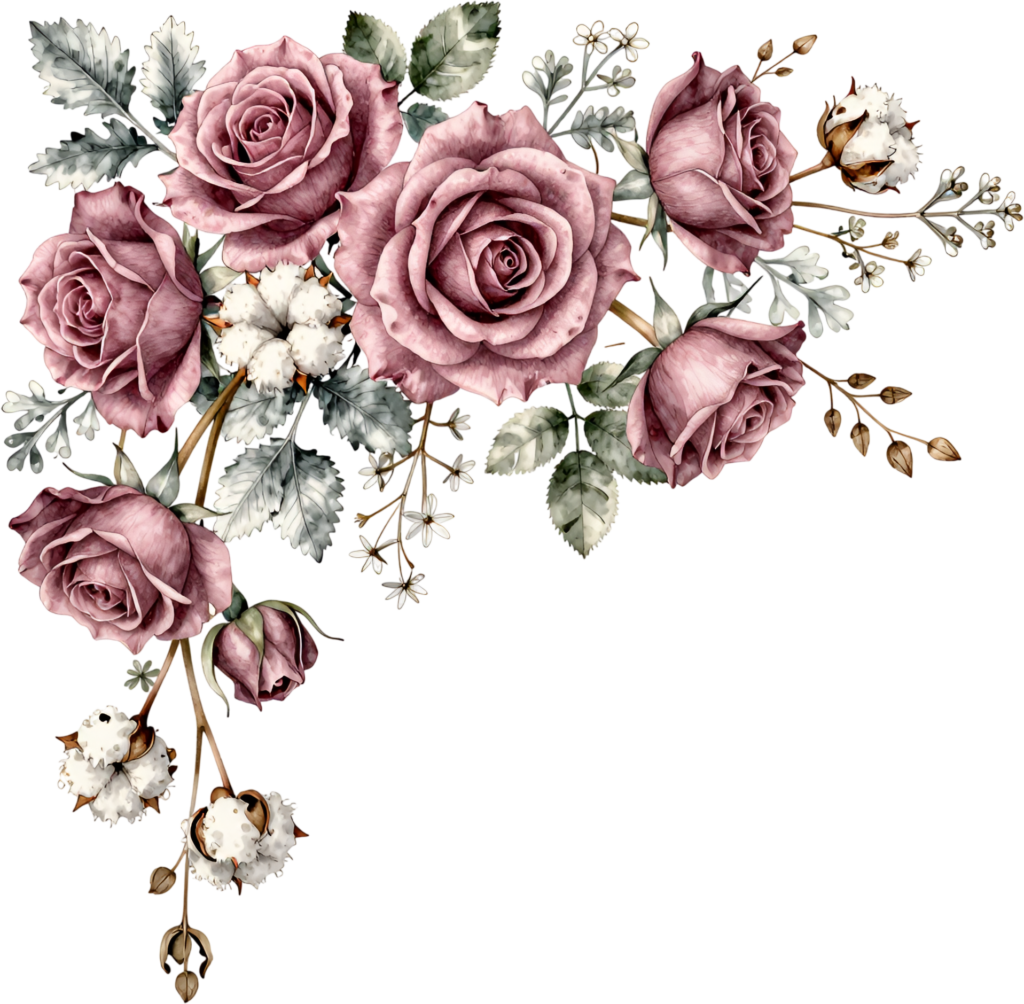 - Roses bouquet with cotton and sage leaves, elegant corner PNG Clipart Flower graphic download Free PNG Download
