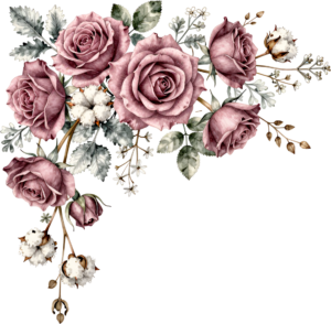 Roses bouquet with cotton and sage leaves, elegant corner PNG Clipart Flower graphic download