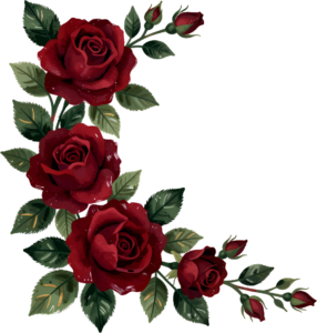 Discover rich burgundy roses with deep green leaves, a dramatic corner Flower PNG Clipart arrangement