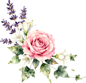 Lavender sprigs with pink roses and white lilies, a beautiful Flower PNG Clipart corner accent