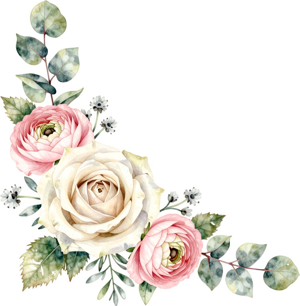 Adorn designs with eucalyptus leaves, white roses, pink ranunculus, chic Flower PNG Clipart corner graphic 1 - Adorn designs with eucalyptus leaves, white roses, pink ranunculus, chic Flower PNG Clipart corner graphic Free PNG Download