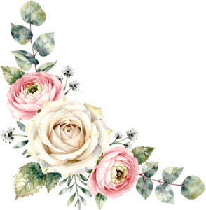 Adorn designs with eucalyptus leaves, white roses, pink ranunculus, chic Flower PNG Clipart corner graphic