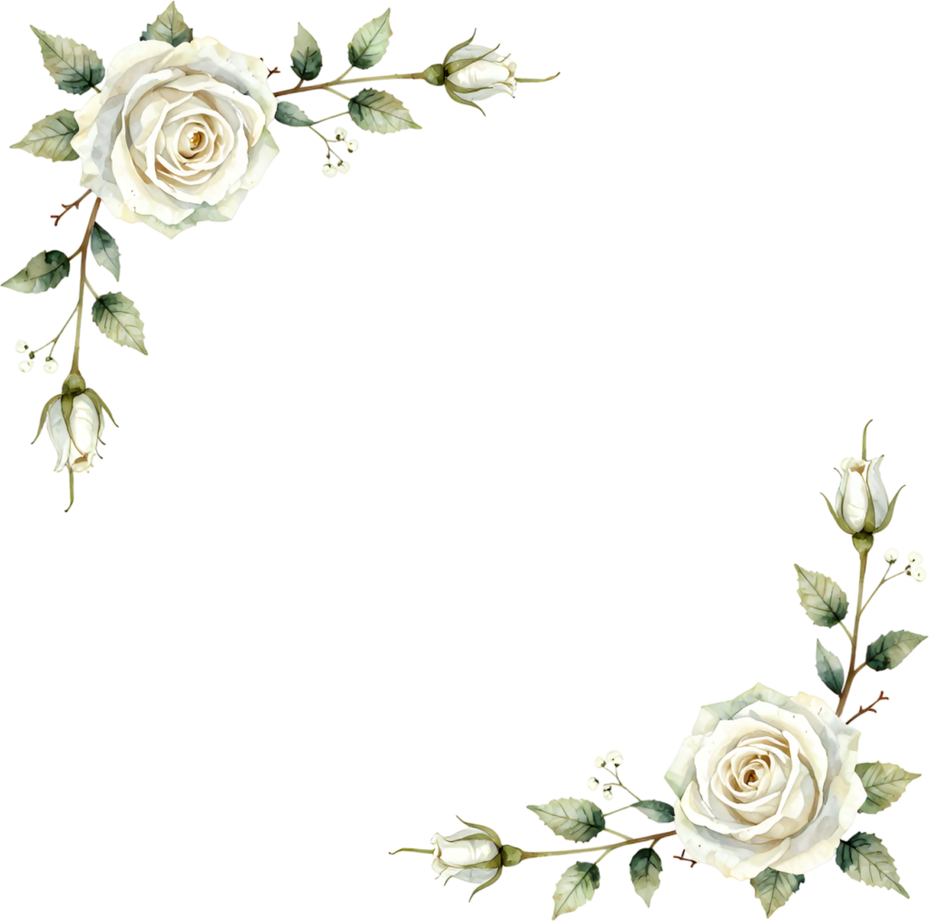 White roses forming an elegant corner frame, a classic Flower PNG Clipart border element set 1 - White roses forming an elegant corner frame, a classic Flower PNG Clipart border element set Free PNG Download
