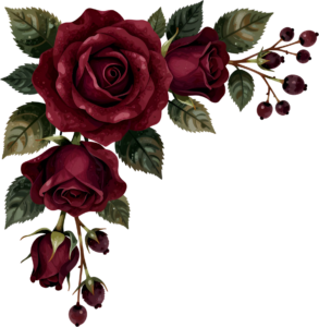 Embrace moody dark red roses with deep green leaves, a stunning Flower PNG Clipart corner design