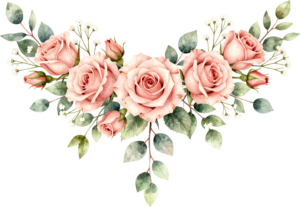 Blush pink roses and delicate baby’s breath, a lovely horizontal Flower PNG Clipart garland asset