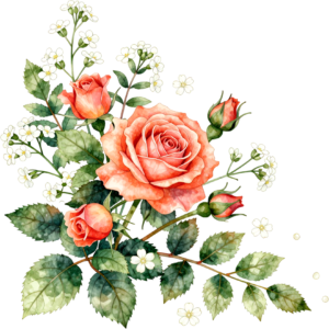 Brighten projects with coral roses and delicate white flowers, a vibrant Flower PNG Clipart bouquet