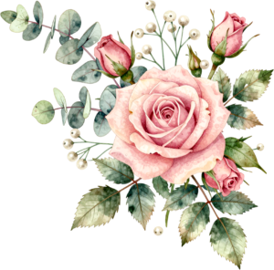 Pink rose with eucalyptus leaves and white berries, a charming Flower PNG Clipart corner element