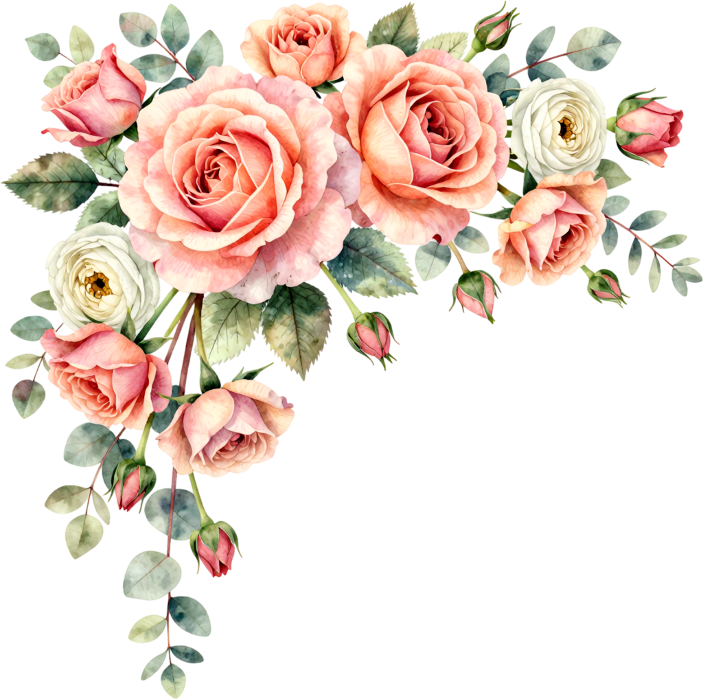 Ranunculus and peach roses with eucalyptus, a delightful Flower PNG Clipart corner arrangement graphic 1 - Ranunculus and peach roses with eucalyptus, a delightful Flower PNG Clipart corner arrangement graphic Free PNG Download