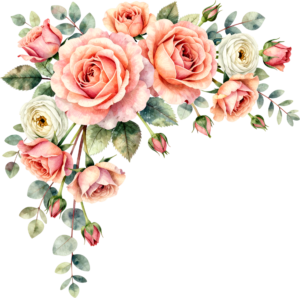 Ranunculus and peach roses with eucalyptus, a delightful Flower PNG Clipart corner arrangement graphic