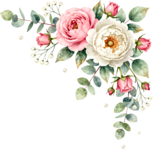 Peony and pink rose with eucalyptus and berries, a beautiful Flower PNG Clipart corner graphic