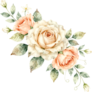 Elegant peach and white roses with delicate foliage, a sophisticated Flower PNG Clipart design