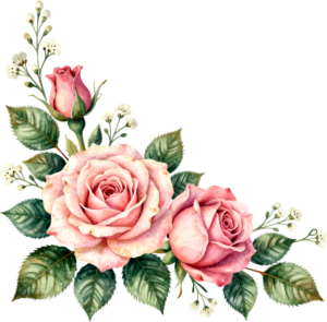 Classic pink roses with charming white filler flowers, a lovely Flower PNG Clipart corner design