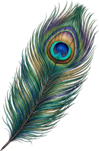 Graceful and realistic, this iridescent peacock feather offers natural beauty for elegant digital PNG artworks and sophisticated print projects