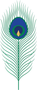 Showcase this simple flat design peacock feather with a striking blue eye and a golden diamond accent, a modern vector PNG for branding