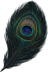 Embrace the deep tones of this sophisticated realistic peacock feather, an elegant digital PNG graphic with subtle hues for refined projects