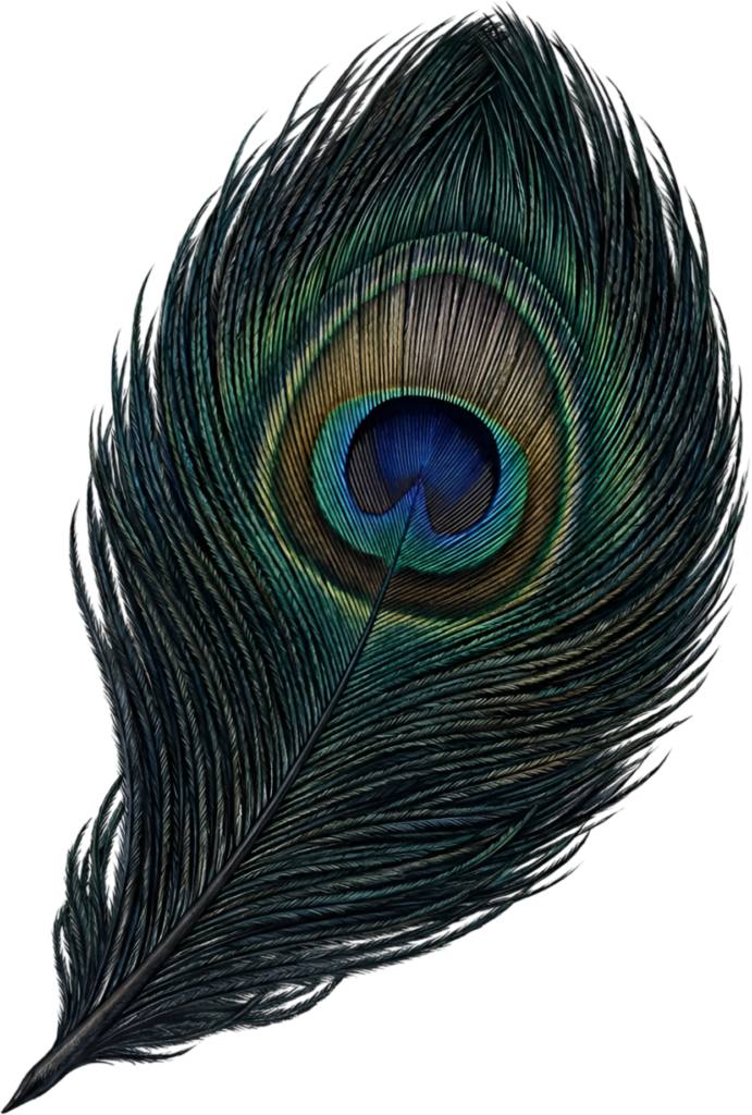Embrace the deep tones of this sophisticated realistic peacock feather, an elegant digital PNG graphic with subtle hues for refined projects 1 - Embrace the deep tones of this sophisticated realistic peacock feather, an elegant digital PNG graphic with subtle hues for refined projects Free PNG Download