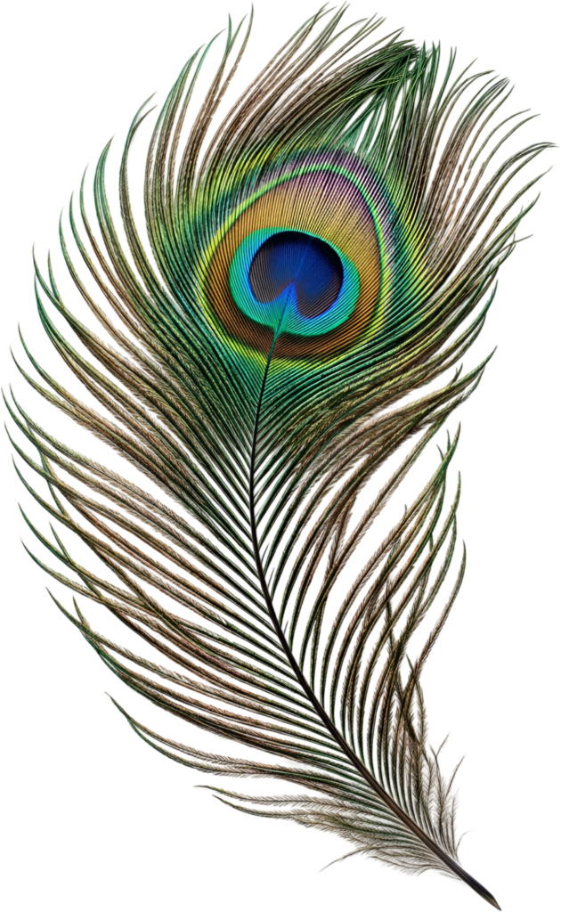 Enhance your creations with this realistic peacock feather featuring warm, earthy tones, an elegant PNG illustration for natural-themed designs 1 - Enhance your creations with this realistic peacock feather featuring warm, earthy tones, an elegant PNG illustration for natural-themed designs Free PNG Download