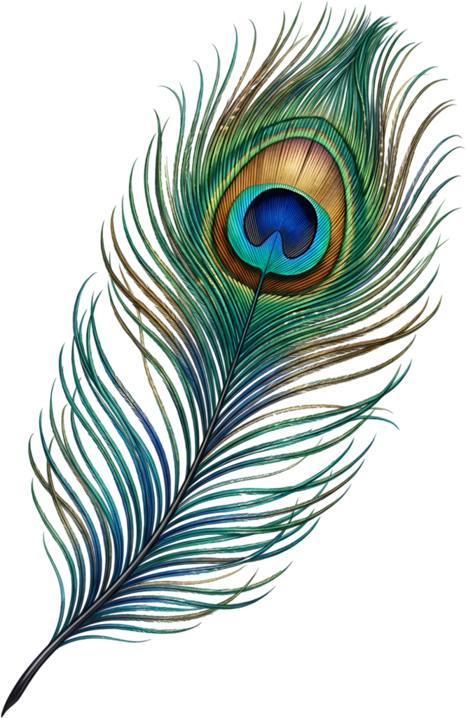 Striking and vivid, this traditional peacock feather delivers brilliant color as a versatile digital PNG clip art element for diverse projects 1 - Striking and vivid, this traditional peacock feather delivers brilliant color as a versatile digital PNG clip art element for diverse projects Free PNG Download