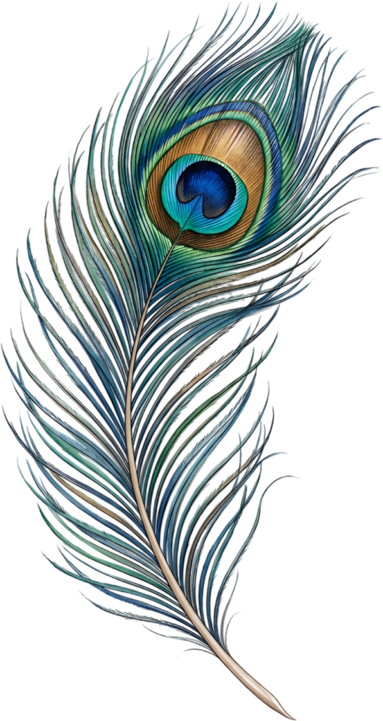 - Behold the graceful curve of this realistic peacock feather, an artistic digital PNG illustration capturing natural elegance for refined creative endeavors Free PNG Download