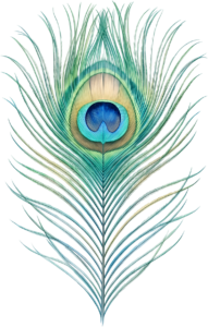 Introducing a delicate realistic peacock feather with subtle hues, an exquisite digital PNG artwork for gentle and elegant design applications