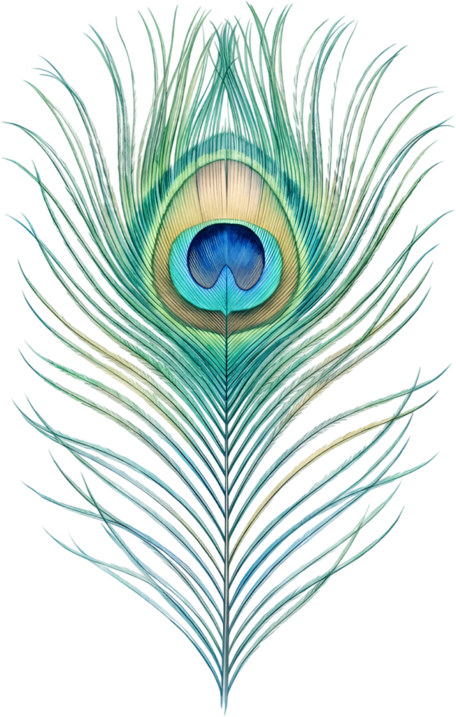Introducing a delicate realistic peacock feather with subtle hues, an exquisite digital PNG artwork for gentle and elegant design applications 1 - Introducing a delicate realistic peacock feather with subtle hues, an exquisite digital PNG artwork for gentle and elegant design applications Free PNG Download