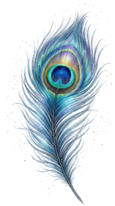 Captivating Iridescent Peacock Feather artwork, a beautiful watercolor Clipart PNG Illustration for elegant crafts