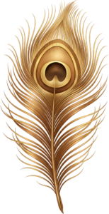 Simple Golden Peacock Feather, a minimalist metallic Clipart PNG Illustration for modern elegant creations