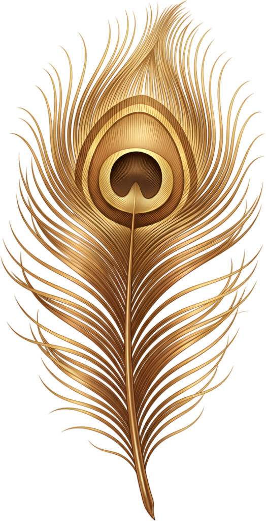 - Simple Golden Peacock Feather, a minimalist metallic Clipart PNG Illustration for modern elegant creations Free PNG Download