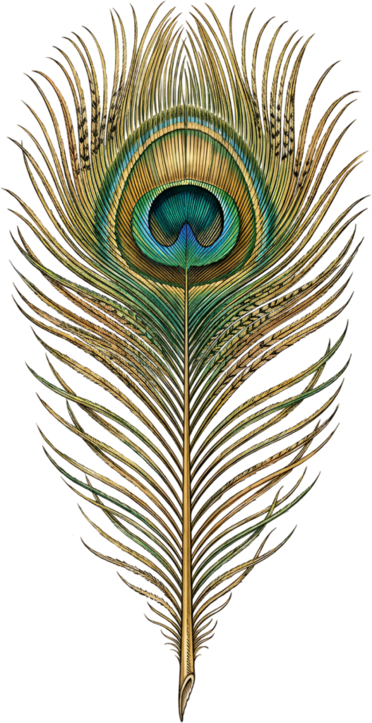Classic Realistic Peacock Feather, a detailed vintage Clipart PNG Illustration for authentic nature themes 1 - Classic Realistic Peacock Feather, a detailed vintage Clipart PNG Illustration for authentic nature themes Free PNG Download
